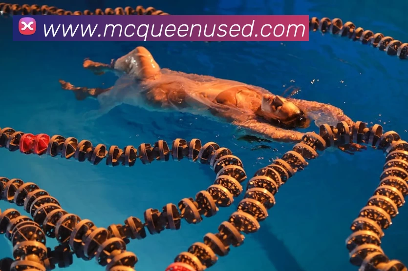 东升国际官网 - 追求健康，你我一起成长平台生态图